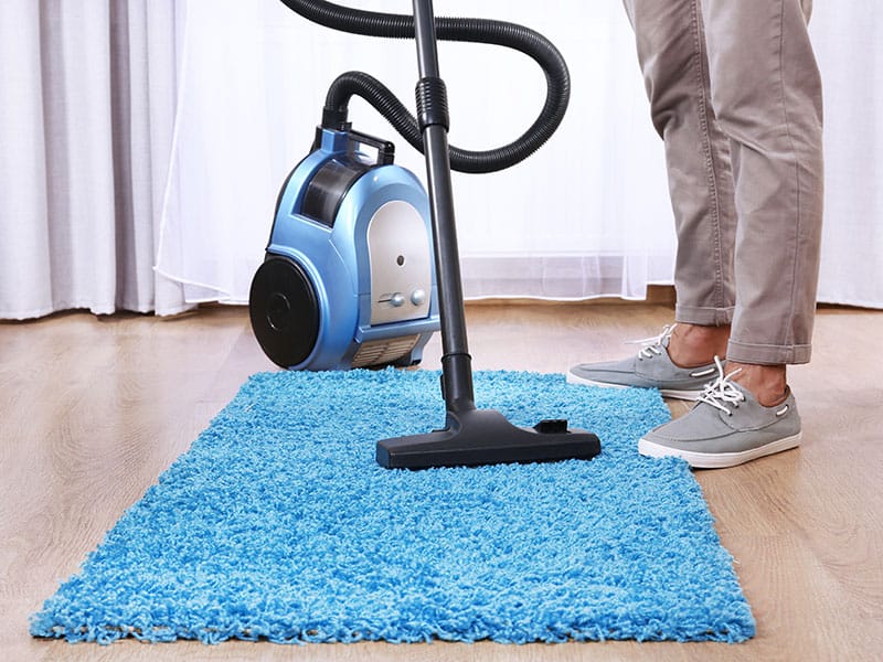 Top 10 Best Vacuum Cleaners For Carpet to Buy 2024 Reviewed