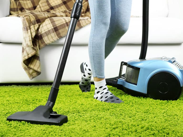 Top 15 Best Vacuum Cleaners For High Pile Carpet 2024