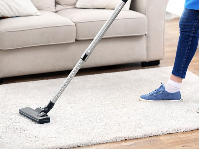 Top 15 Best Vacuum Cleaners For High Pile Carpet 2024