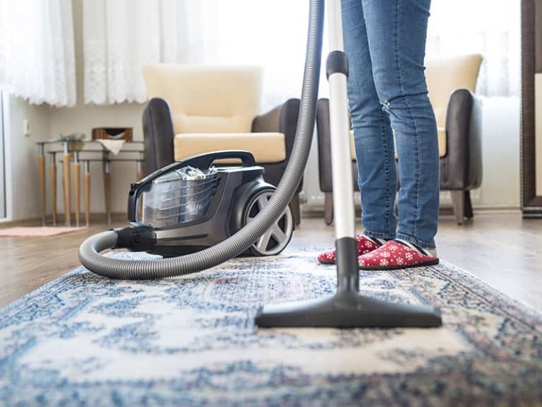 Top 15 Best Canister Vacuum Cleaners For The Money 2024