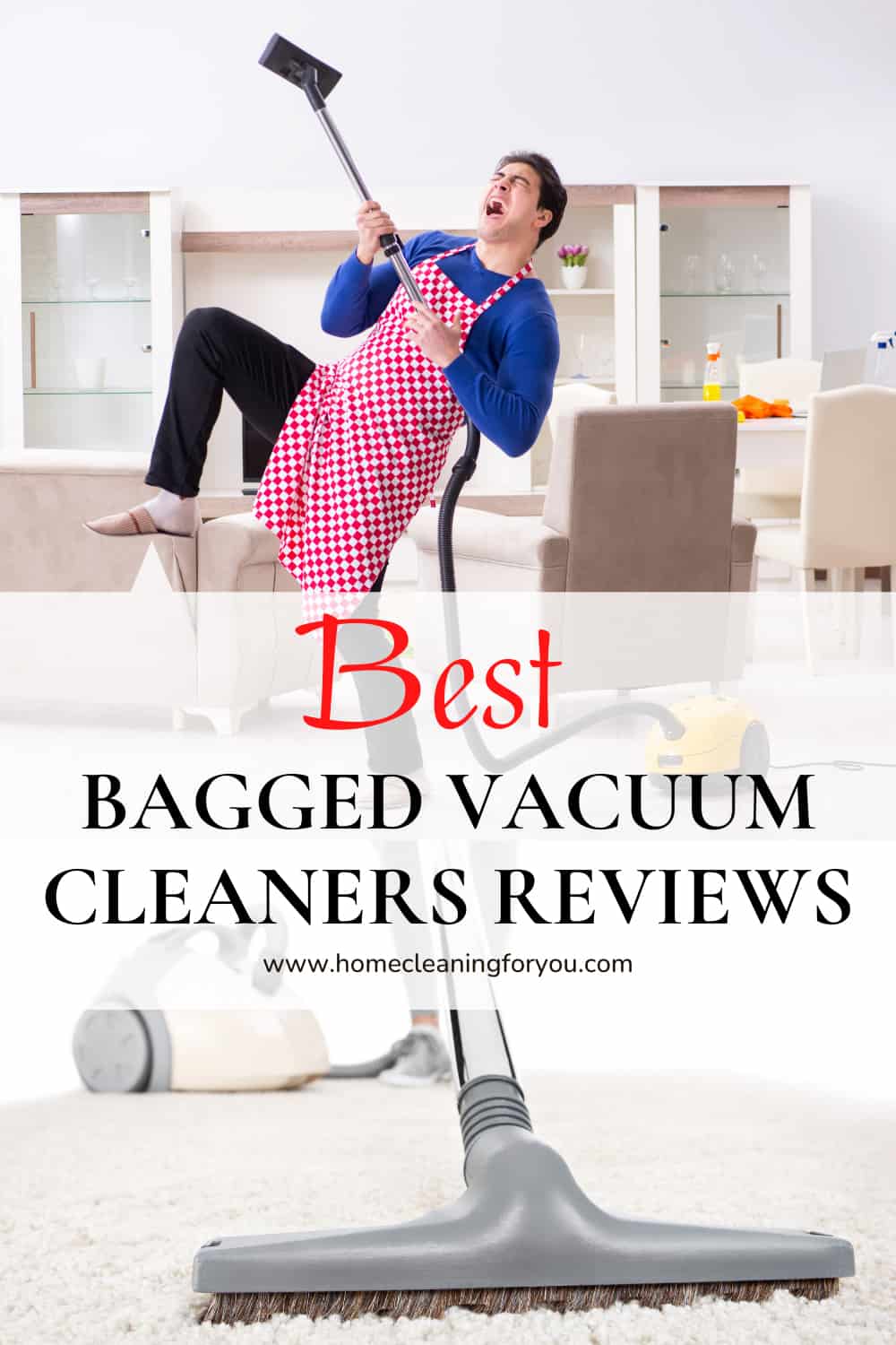 15 Best Bagged Vacuum Cleaner To Buy with Reviews 2024