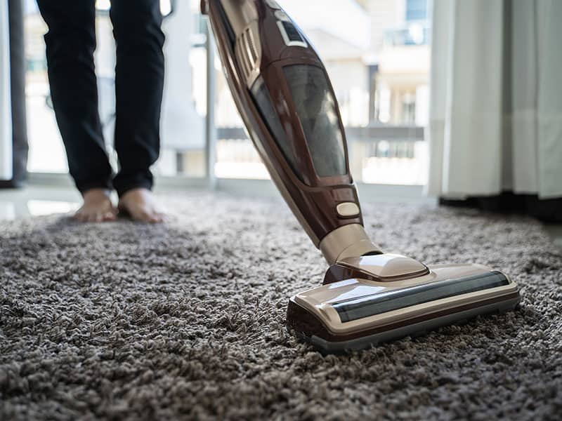 Top 22 Best Bagless Vacuum Cleaners For The Money 2024
