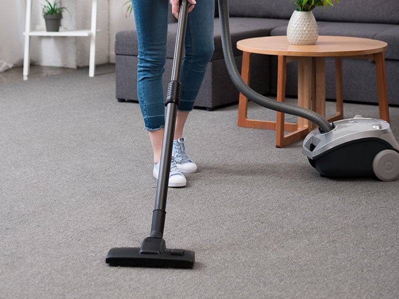 Top 10 Best Eureka Vacuum Cleaners For The Money 2024
