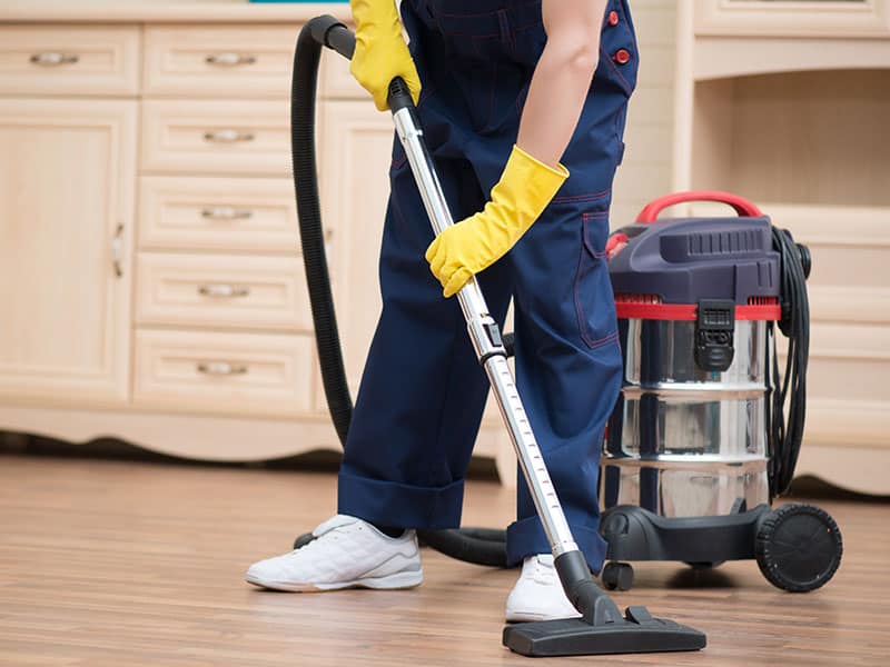 Top 12 Best Ash Vacuum Cleaners For The Money 2024   Ash Vacuum Cleaners 