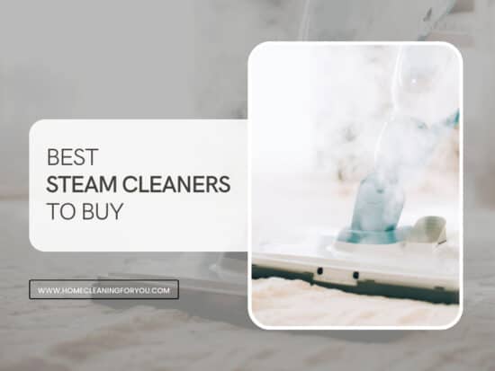 Best Steam Cleaners 1 550x413 