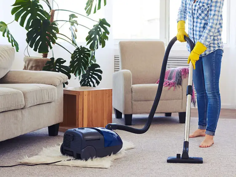 12 Best Quiet Vacuum Cleaners Reviews 2024 (Recommended)