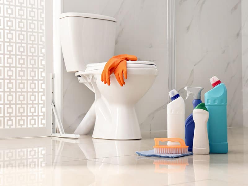 Top 15 Best Toilet Bowl Cleaner Reviews 2024