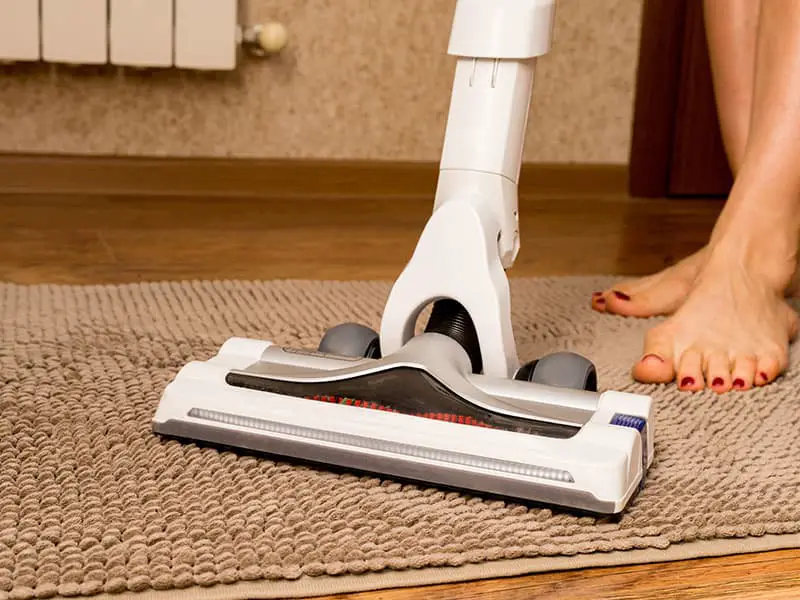 Top 15 Best Vacuums for Area Rugs To Buy with Reviews 2022