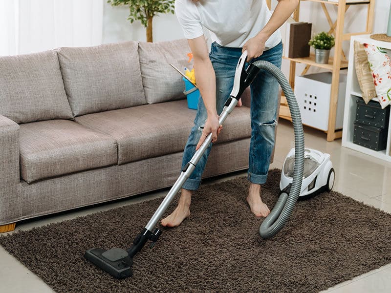 Top 15 Best Vacuums for Wool Carpet To Buy 2024