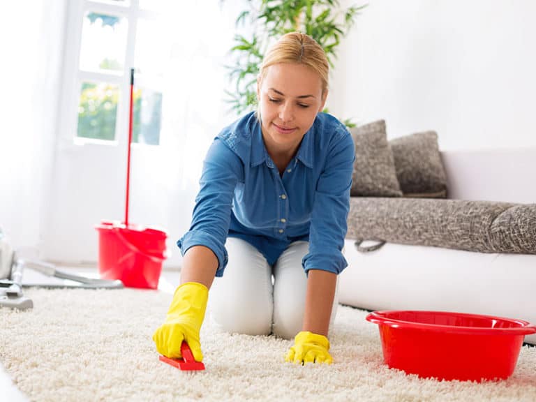 How to Fix Bissell Carpet Cleaner At Home - The Ultimate Guide