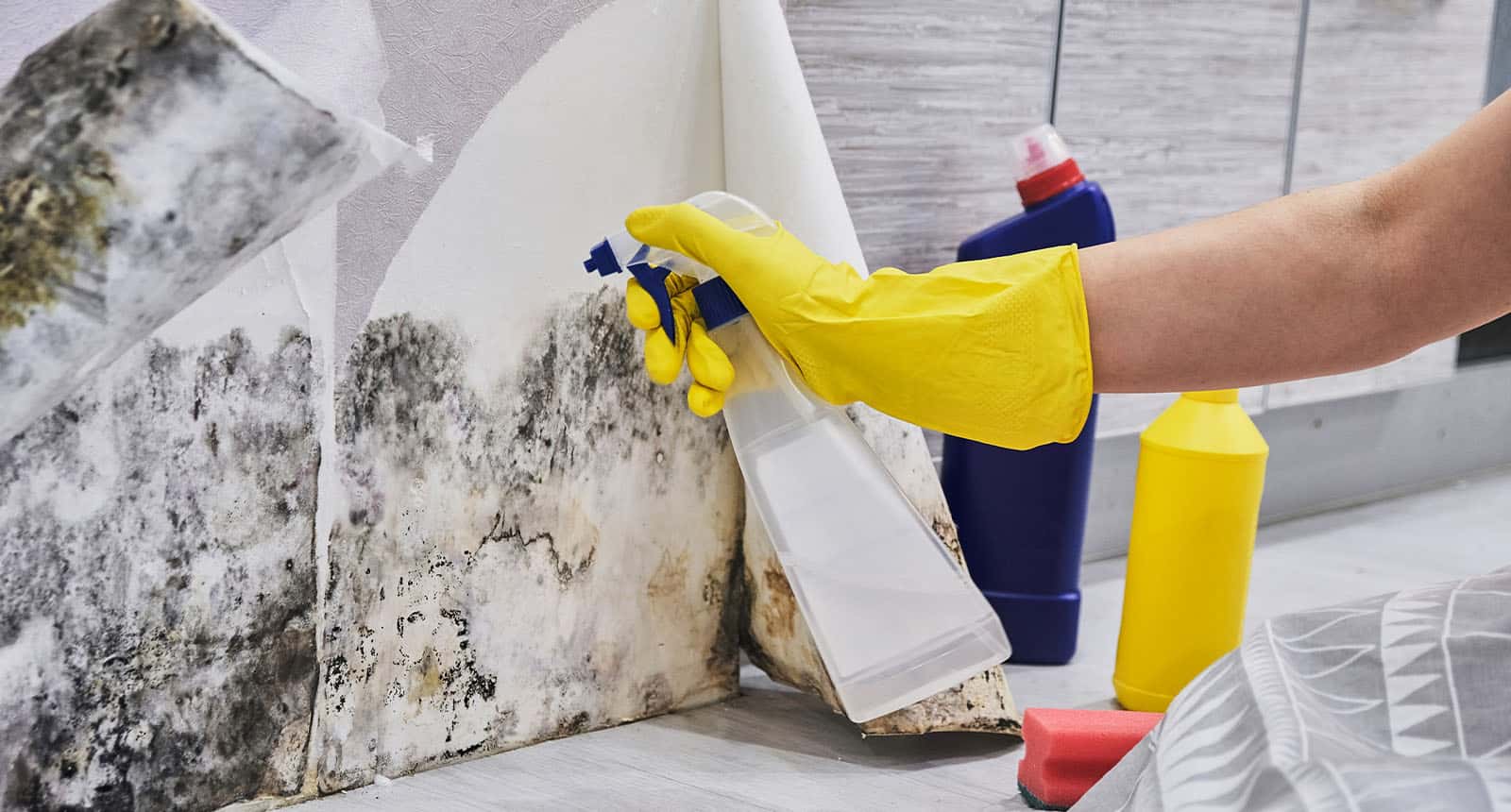 Removing Mold From Basement Floor Flooring Tips