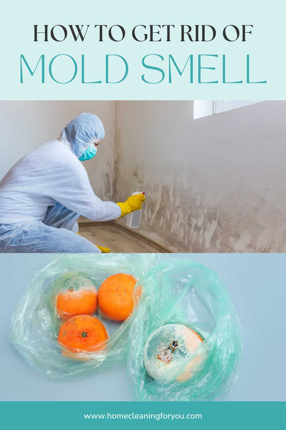 How To Get Rid Of Mold Smell: Must-Know Guidelines