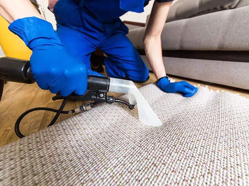 how-to-use-shop-vac-to-clean-carpet-best-guide-2021