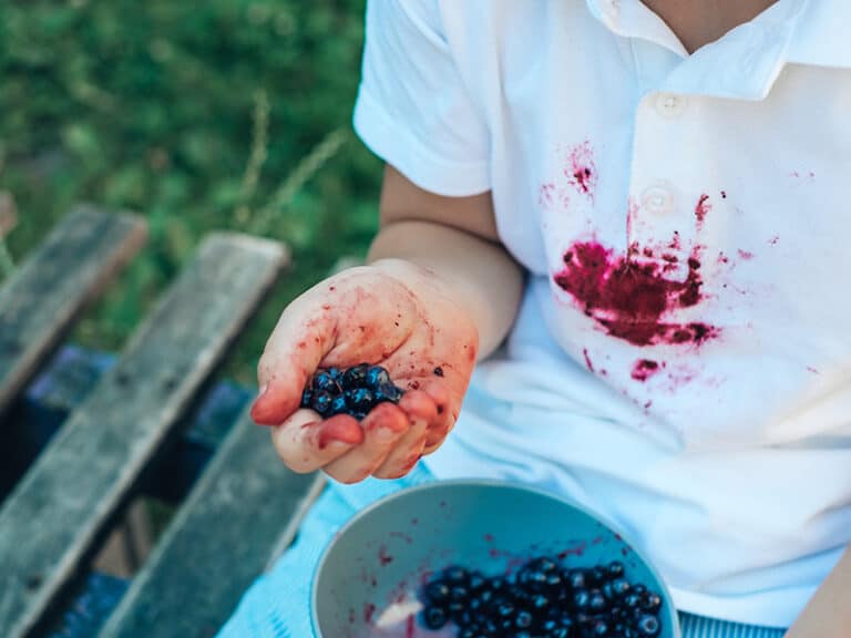 How To Get Blueberry Stain Out Of Clothes