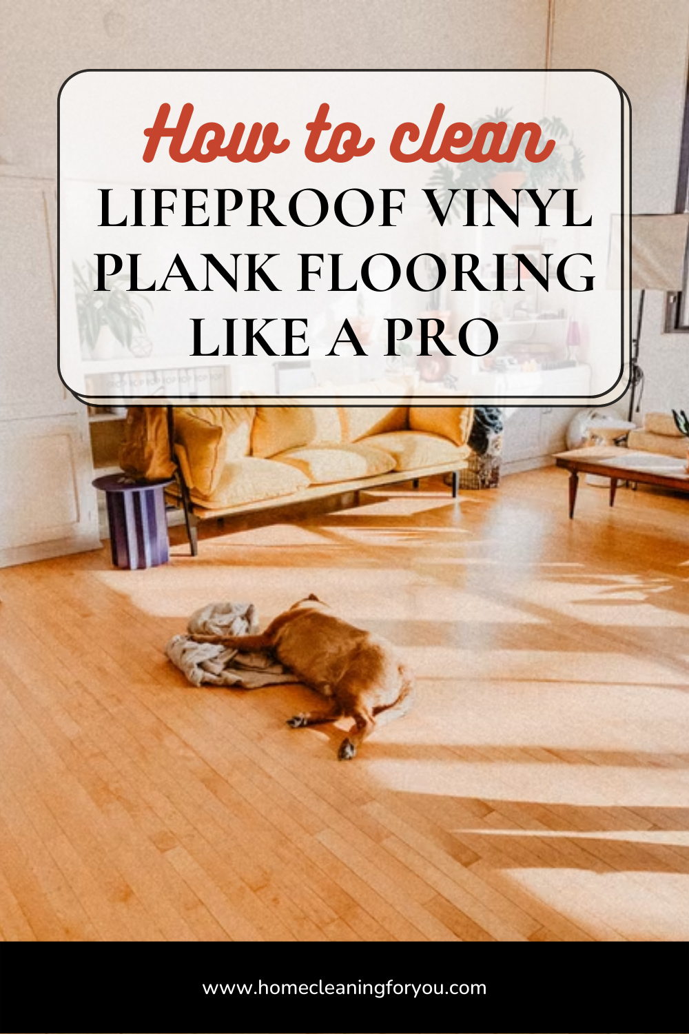 How To Clean LifeProof Vinyl Plank Flooring Like A Pro 2024   How To Clean Lifeproof Vinyl Plank Flooring Img 