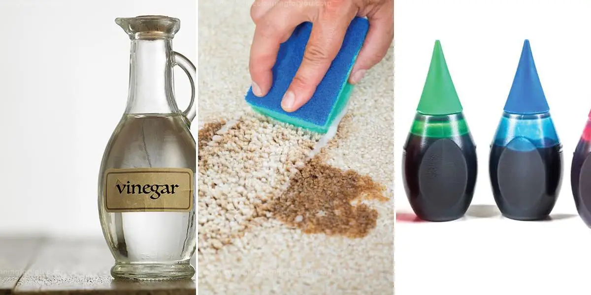 Best Steps to Get Food Coloring Out of Carpet