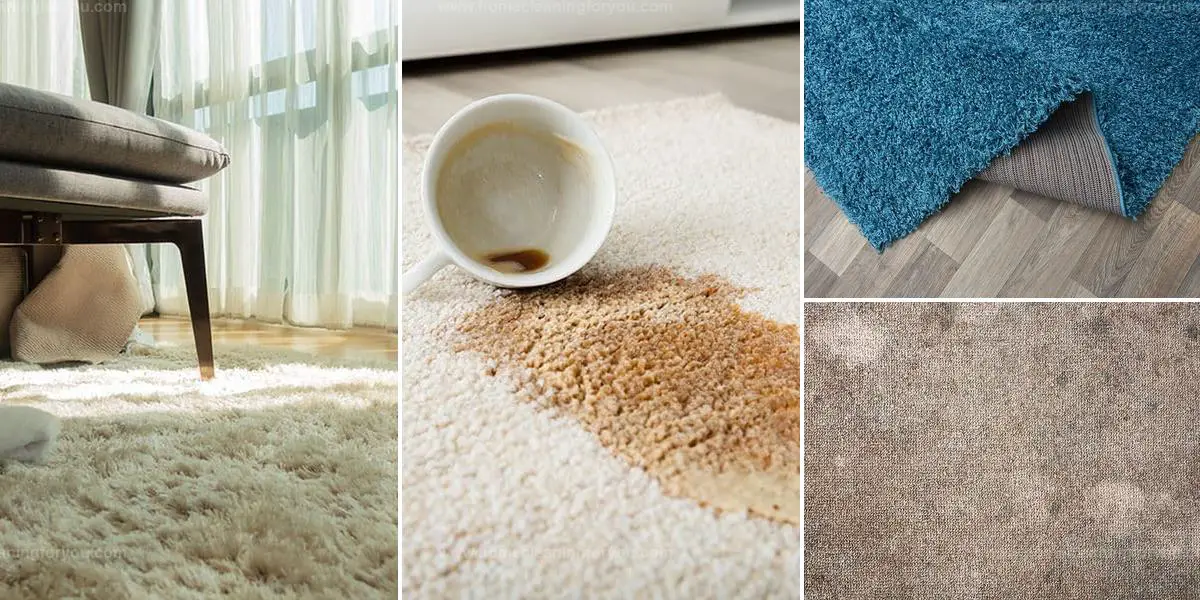 Best Steps to Dry a Wet Carpet