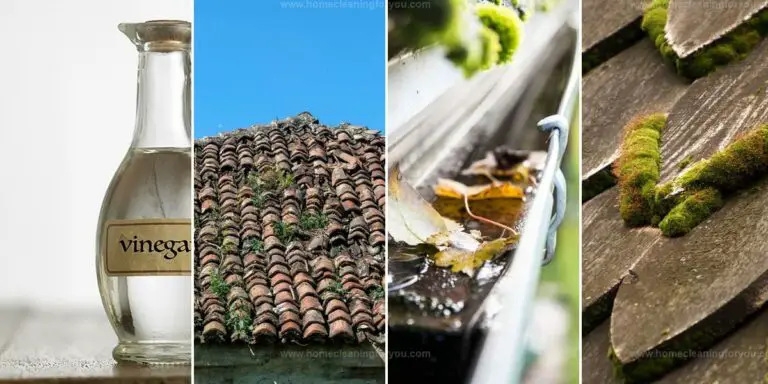 Top Steps to Remove Moss From Wood Shingles